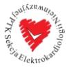 ikona